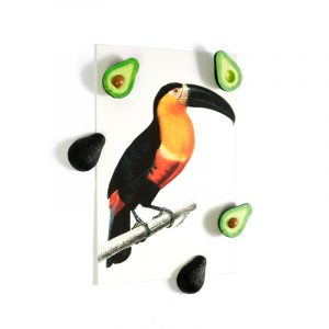 magnet-avocado-