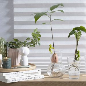 leafriend-anzuchthelfer-3-er Set (2)