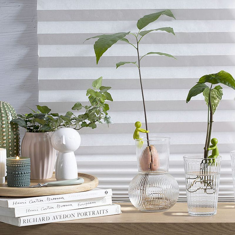 leafriend-anzuchthelfer-3-er Set (2)