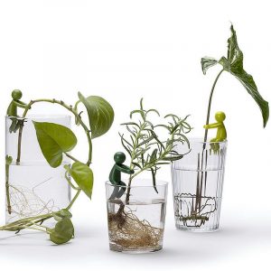 leafriend-anzuchthelfer-3-er Set (3)