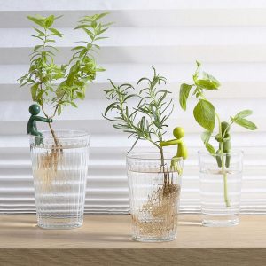 leafriend-anzuchthelfer-3-er Set (5)