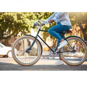 fahrrad-accessoire-biene_05